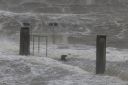 Sturm September 2017