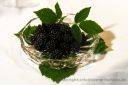 Dateiname=brombeeren_002.jpg
Dateigröße=376KB
Abmessungen: 1200x800
hinzugefügt am: 26. September 2014 brombeeren_002.jpg